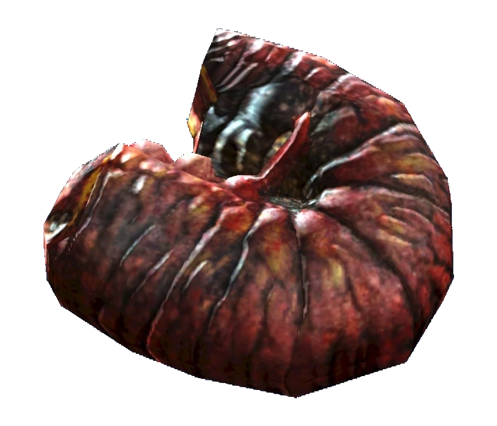 Fog crawler meat Fallout dnd - Latest