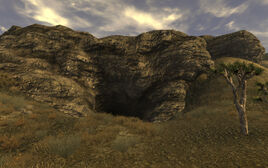 FNV Walking Box Cavern