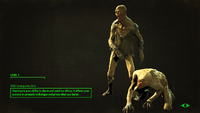 FO4 LS Feral
