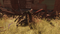 Hiker corpse