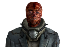 Aussehen laut G.E.E.K.