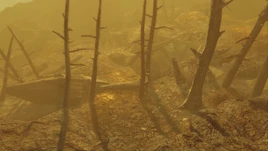 Vergessenekircheaussen