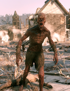 FO76WA Harvey Tinley.png (1.48 MB) Harvey Tinley, a feral ghoul encountered in Clarksburg