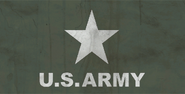 FO76 Army Flag 3
