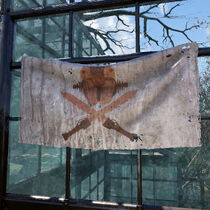 FO76 Rust Eagle banner