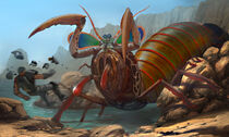 Concept mutant mantis shrimp