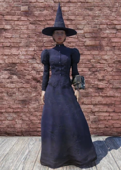 victorian witch costume