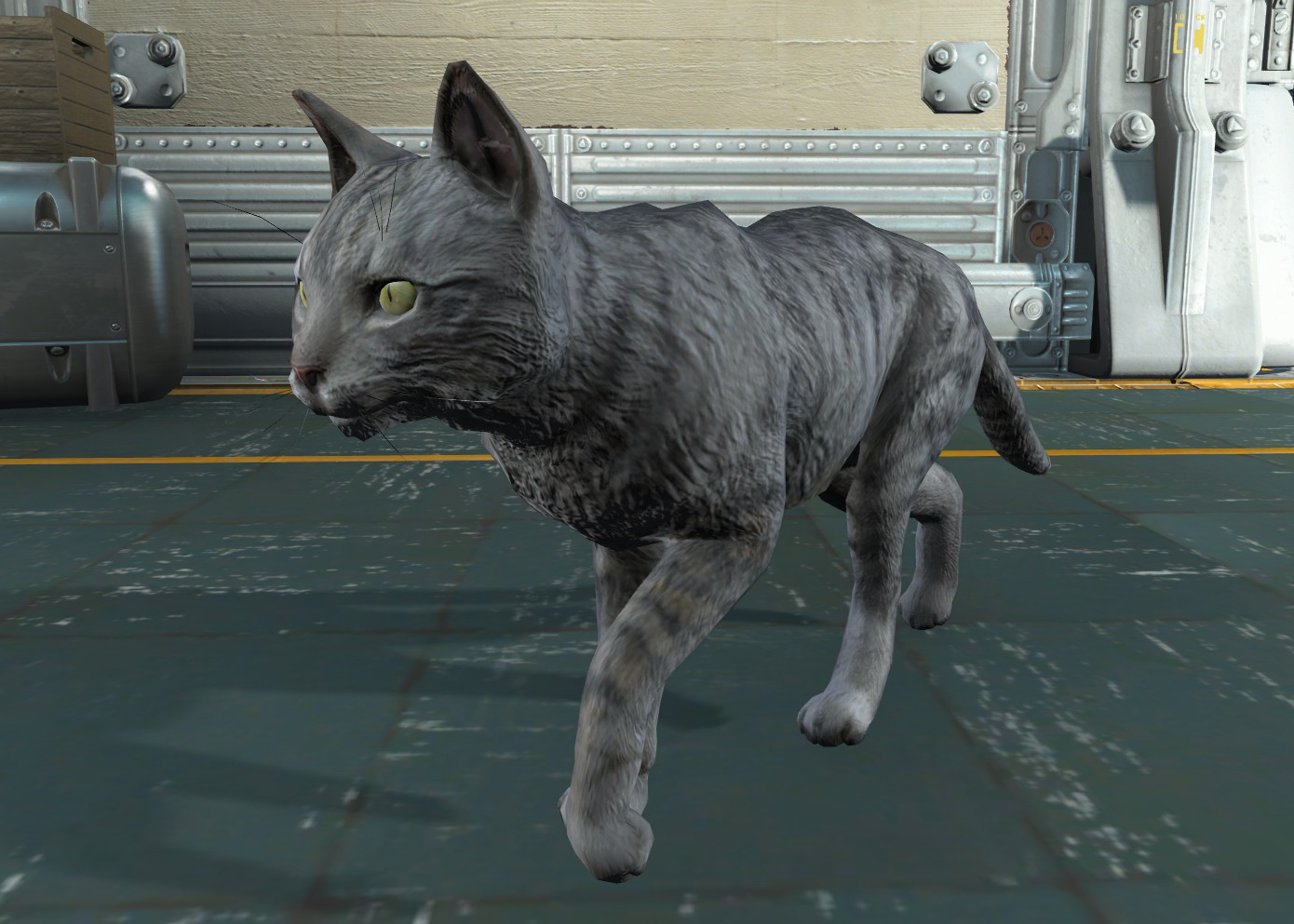 fallout 4 house cat