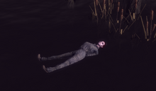 Halluzination im Heiligen Moor