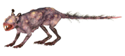 Radsquirrel.png