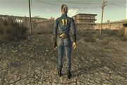 FNV Vault 11 jumpsuit example