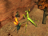 Leveled creatures attacking outside the cave