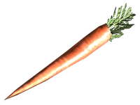 FO3 fresh carrot.png
