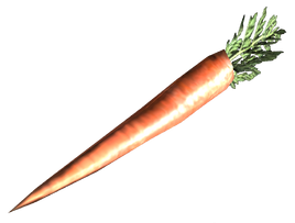 FO3 fresh carrot