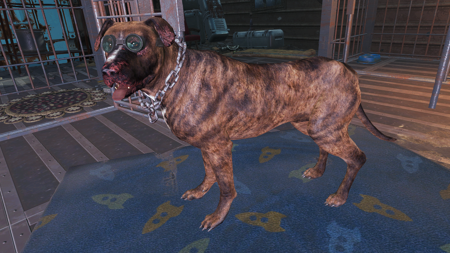 fallout 4 attack dog