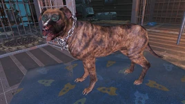 FO4FH Duke