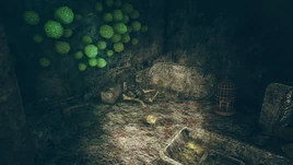 FO76 Caleb Carson Bones