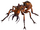 Fire ant (Fallout 3)