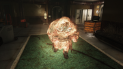 Scorched Mole Miner.png