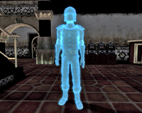 SM security hologram standard color