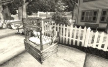 Timmy und sein Lemonaden-Stand