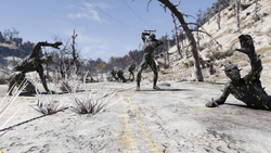 Todd Howard admits that the team knew Fallout 76 was not a high Metacritic game at launch, but it's about what the game becomes