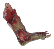 Left lower leg