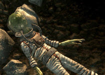 Alien2.jpg (119 KB) Der unglückliche Pilot