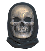 Fallout 76 Halloween Costume Skull.png