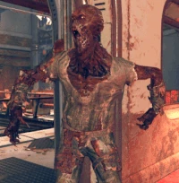 FO76 Feral ghoul