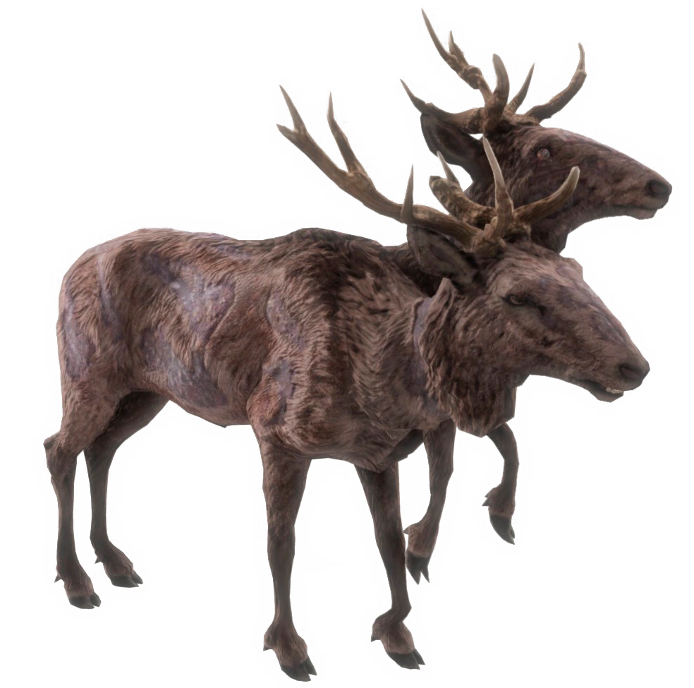 Мутанты в чернобыле лось. Рад олень. Рад олень. Рад олень. Рад олень.