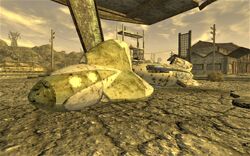 Novac, Fallout Wiki