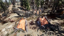 FO76WL Sacrament (1)