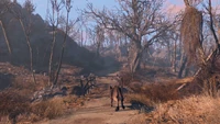 Park post-War trailer.png (3.74 MB) Dogmeat