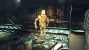 Strangler Feral Ghoul.png