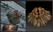 Fo4 gabrielle-adams-falloutbarnicle.jpg (214 KB) Barnacle