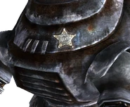 A sheriff's badge. Once again, Deputy Weld may relate.