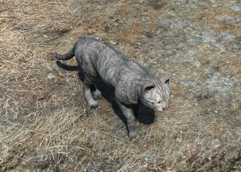 cats in fallout 4