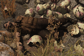 FO76SV ornithologist