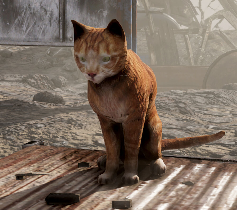 Cat (Fallout 76) | Fallout Wiki | Fandom