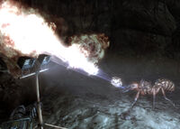 Os nest guardian em queen ant's hatchery
