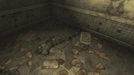 FO3 Theo and his box