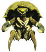 FO4 Softshell Mirelurk.png