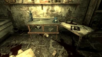 Fo3PL Bottlecap mine TS.jpg (988 KB) Trapper's shack