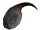 Glándula venenosa de mutascorpius (Fallout: New Vegas)
