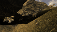 FNV Bug two pups fall through textures in Coyote den