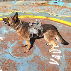 Light Dog Armor Fallout Wiki Fandom Fallout 4 where to find light dog armor. light dog armor fallout wiki fandom