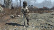 FO4 Synth Stormer