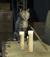 Proctor Quinlan's cat Emmett in Fallout 4