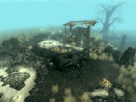 Excavated muck hole 1